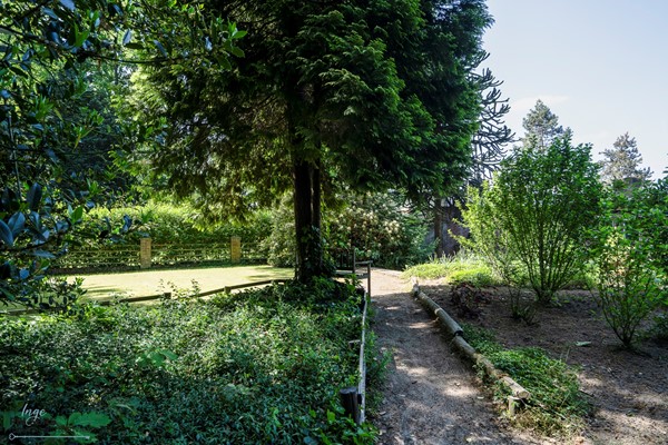 Medium property photo - Beekstraat 28, 5954 AW Beesel